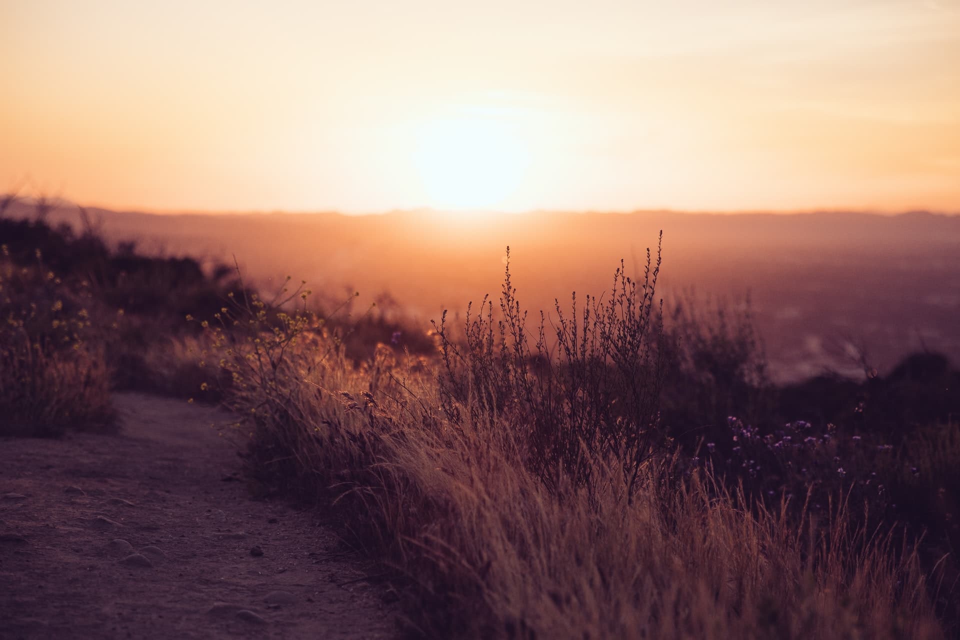 Tier 2 is no more – what does the new Skilled Worker route means for employers and applicants?